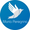 Serviço Social Maria Peregrina