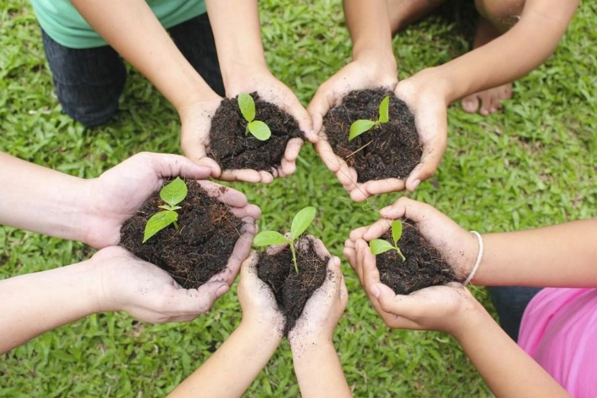 Ação Ambiental - Destinação de Árvores Nativas