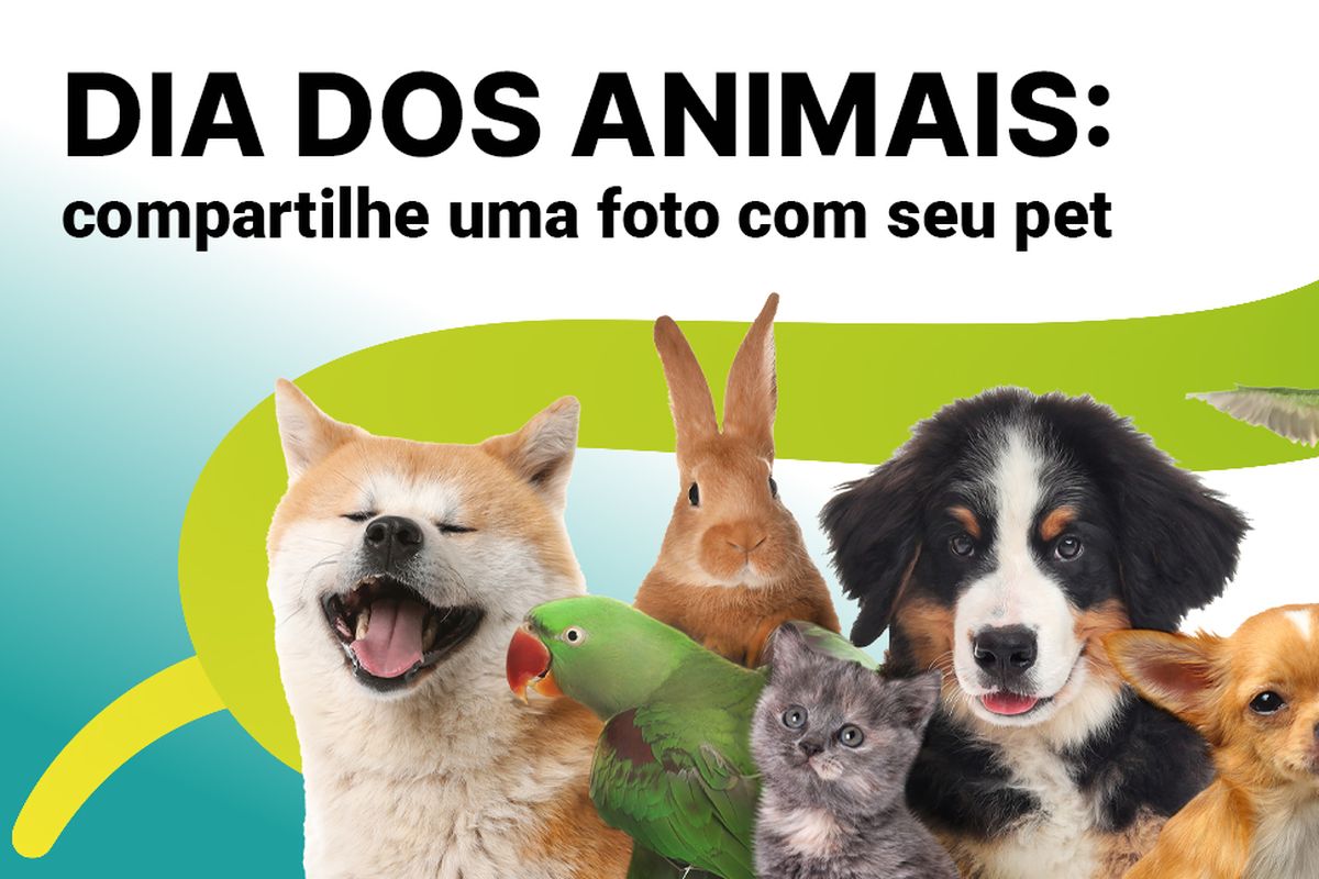 Dia Mundial dos Animais: compartilhe uma foto com seu pet