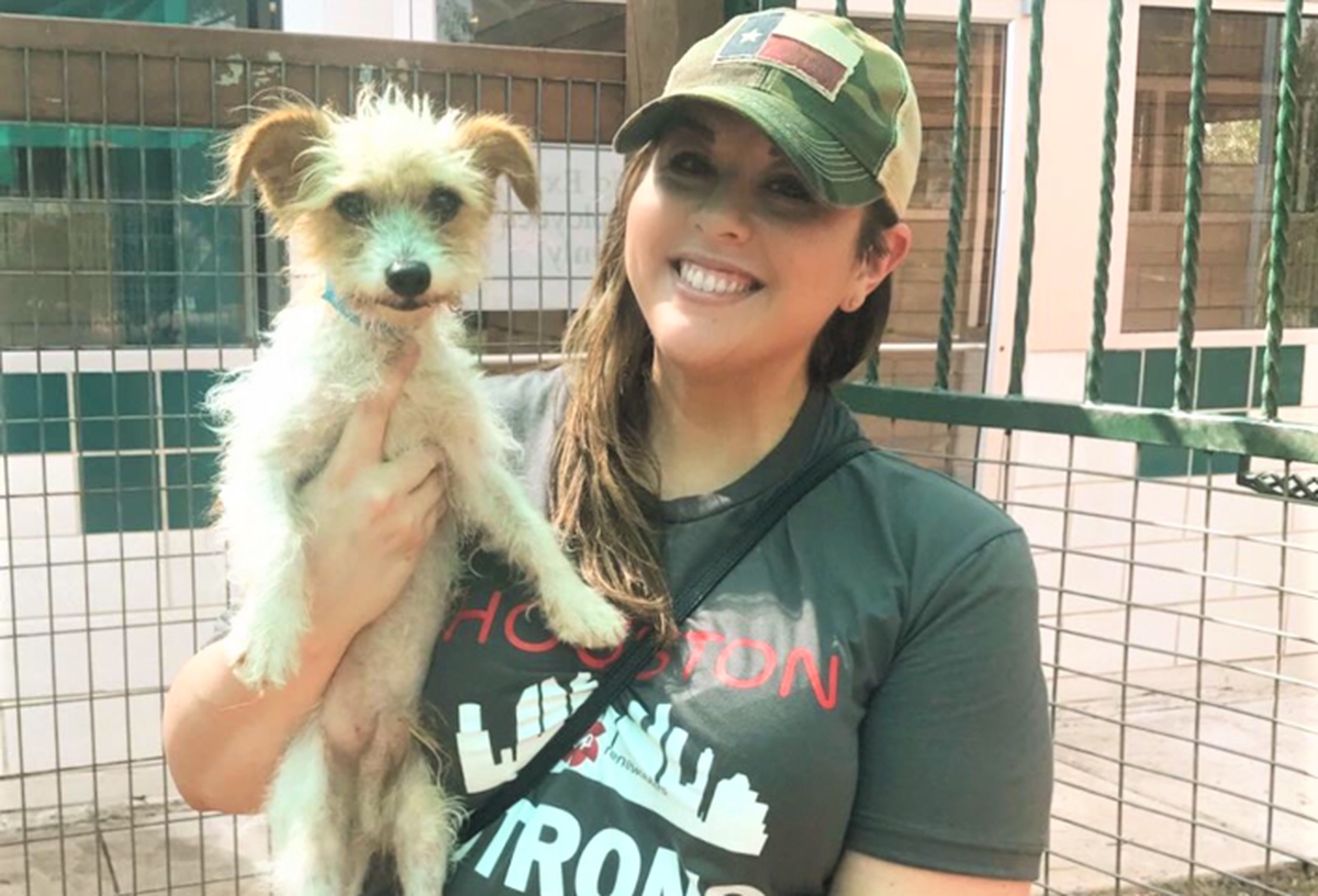 Volunteer at Houston Humane Society