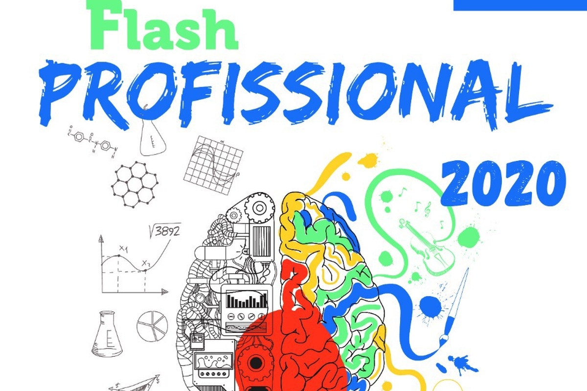 Flash Profissional 2020