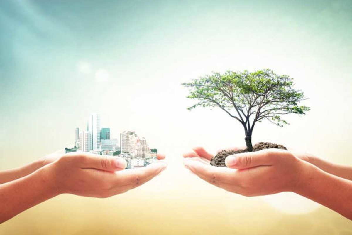 Junte-se a nós para preservar o meio ambiente: seja um agente de transformação plantando árvores!