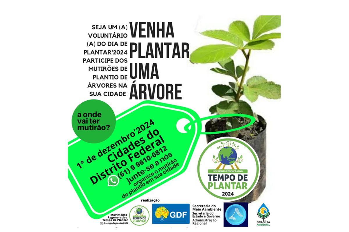 TEMPO DE PLANTAR 2024