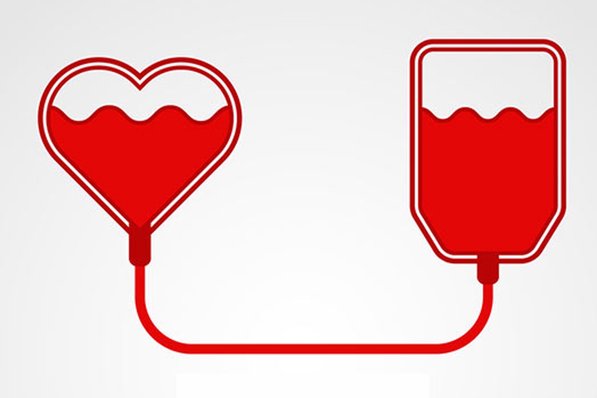 XII Campanha Doação de Sangue Doação de Sangue