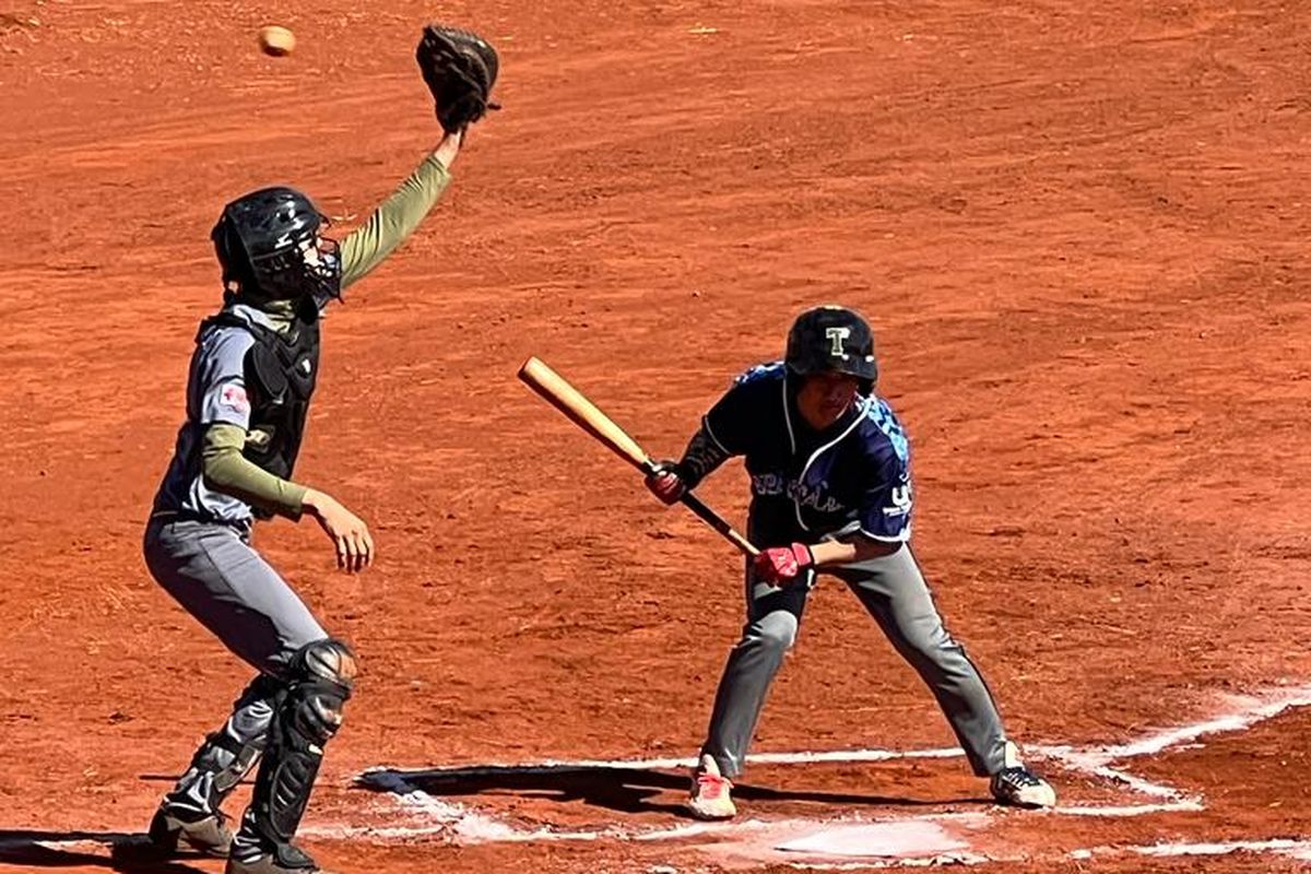 Baseball Saúde & Esporte - Fazenda Pampeira