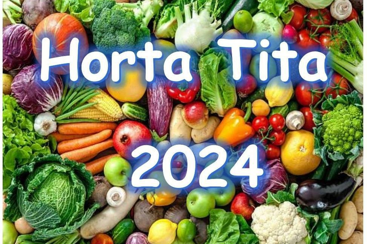 Horta Tita Brasília 2024