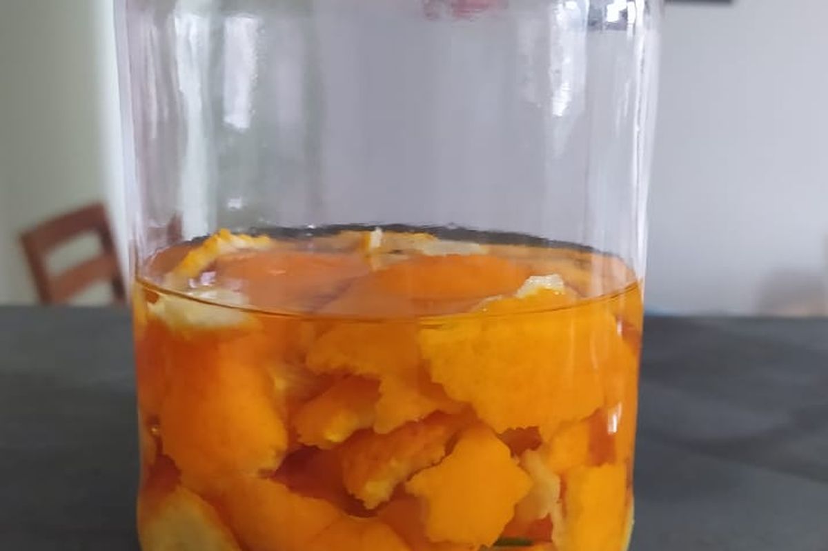 Desengordurante feito com casca de laranja 