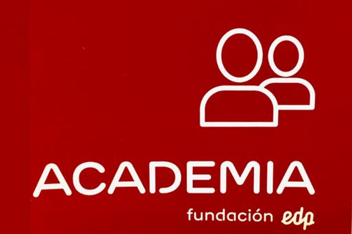 Voluntariado  Madrid -  Colaboradores Academia Fundación EDP