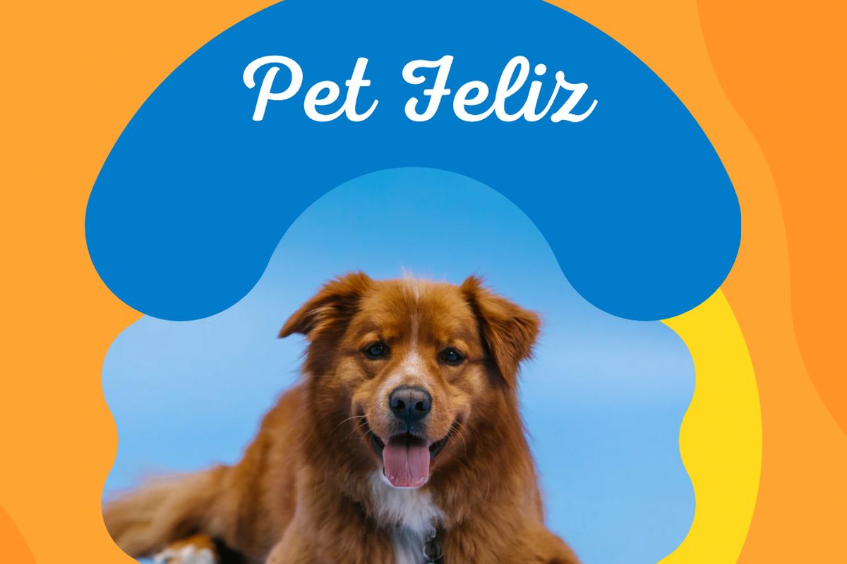 Pet Feliz 