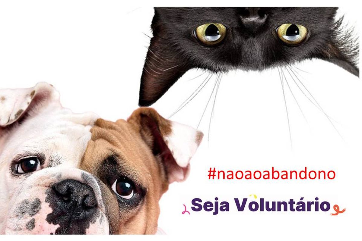 Mês Mundial de Proteção aos Animais #nãoabandono 