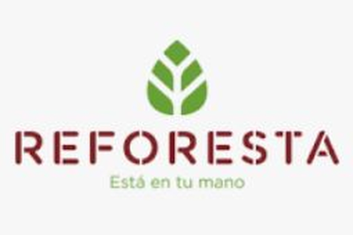 Reforestación Madrid 