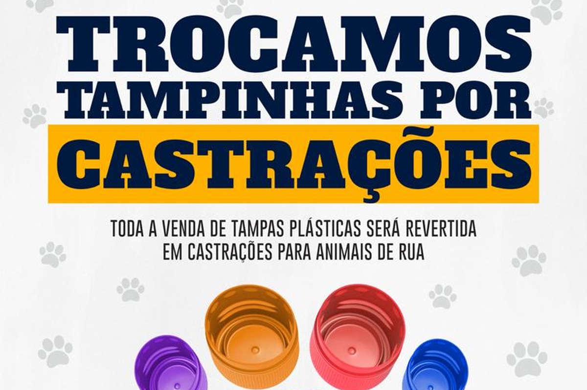  "Ajude a castrar animais de rua: participe da campanha Tampinhas do BBem"