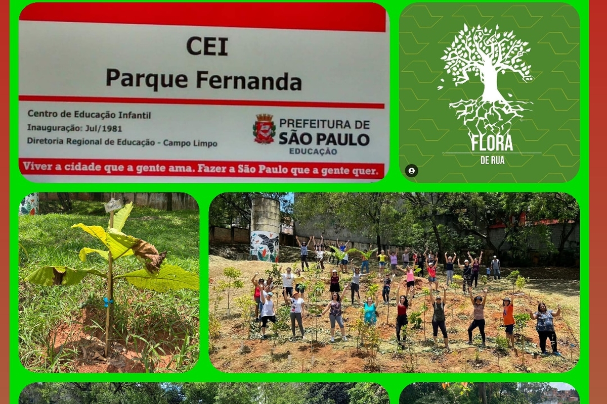 Manutenção Bosque na CEI Parque Fernanda 