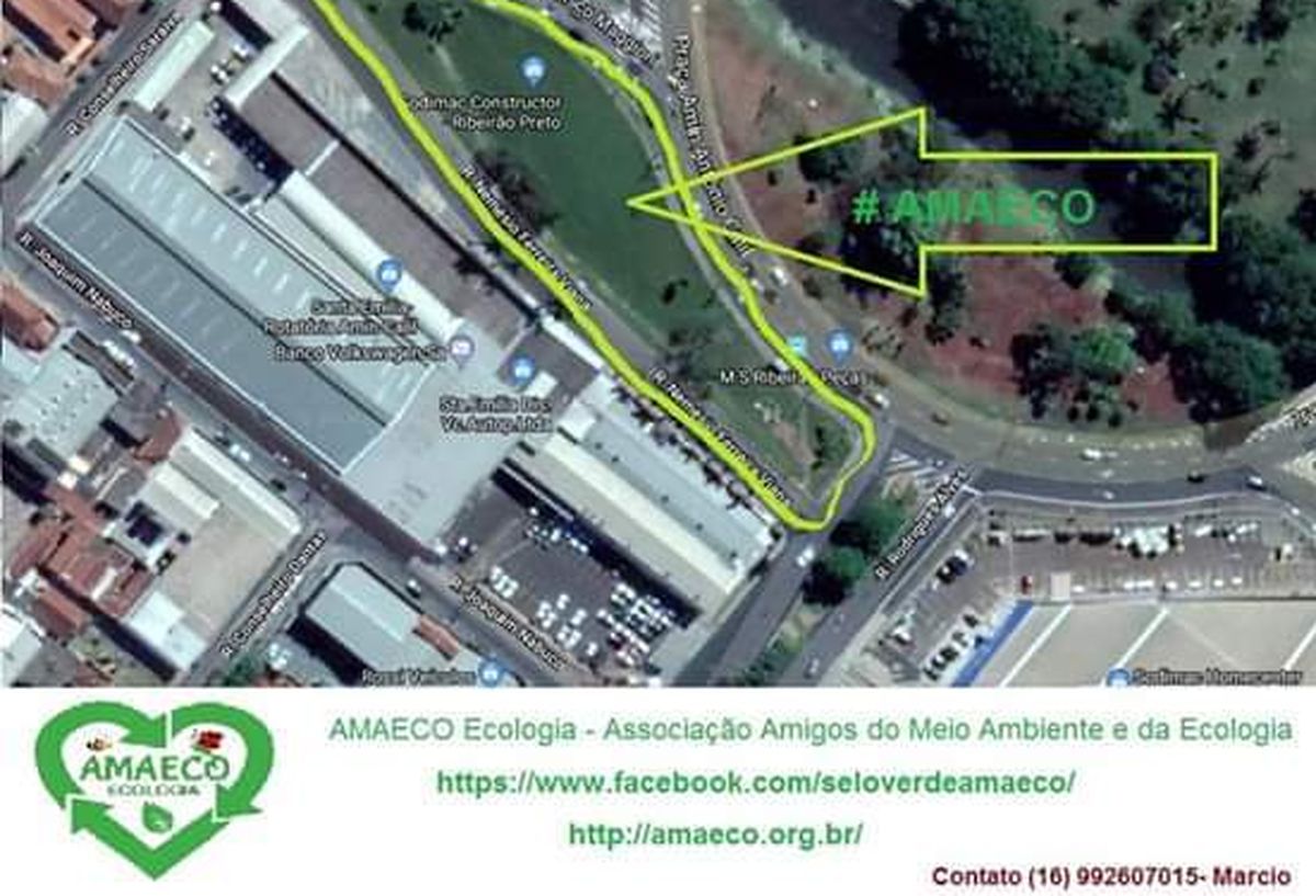 Plantio de árvores no canteiro da Av. Amin Calill