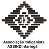 ASSINDI Maringá - Associação Indigenista