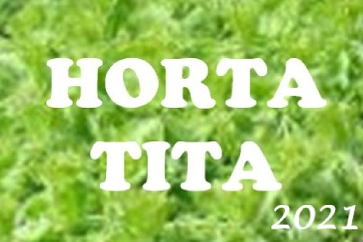 Horta Tita Brasília 2021