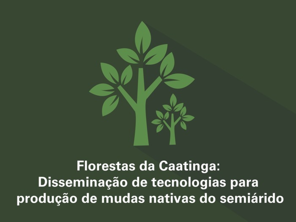 Florestas da Caatinga: disseminação de tecnologias para produção de mudas nativas do semiárido 