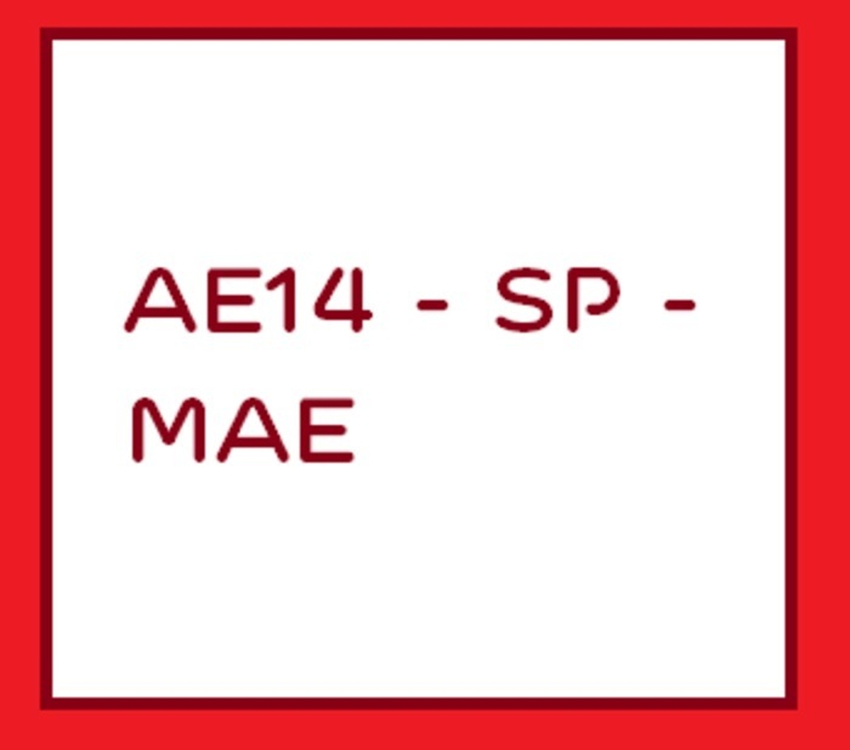 AE14 - SP - MAE