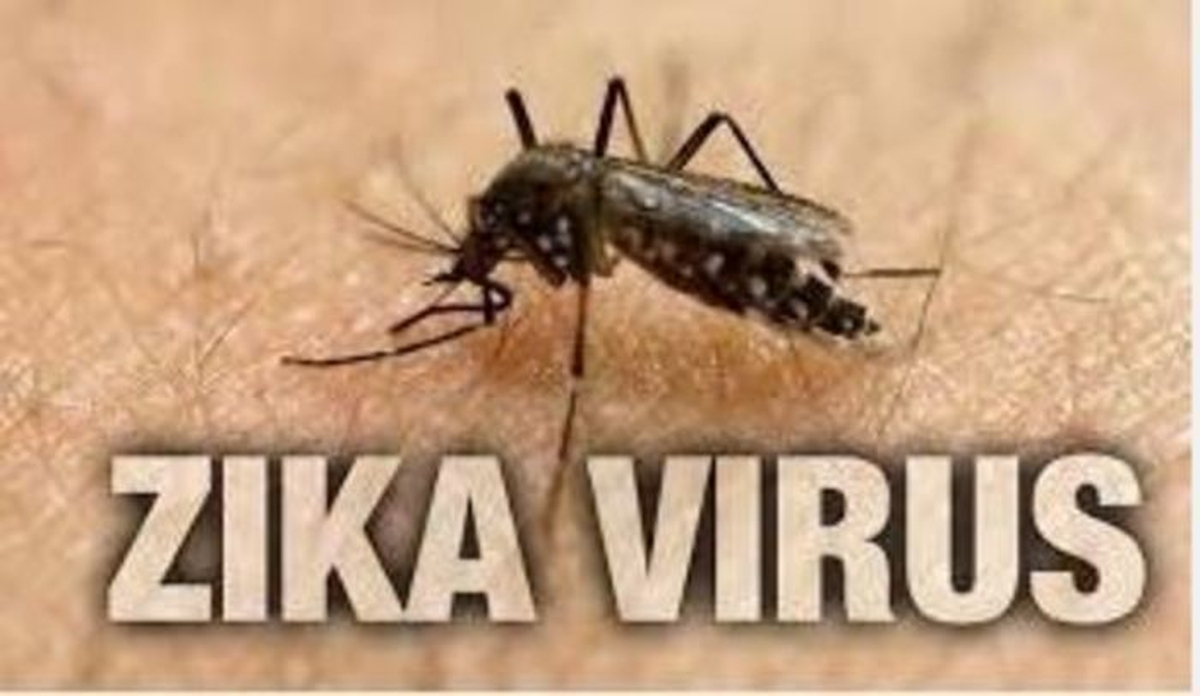 ATM contra o Zika e a Dengue 