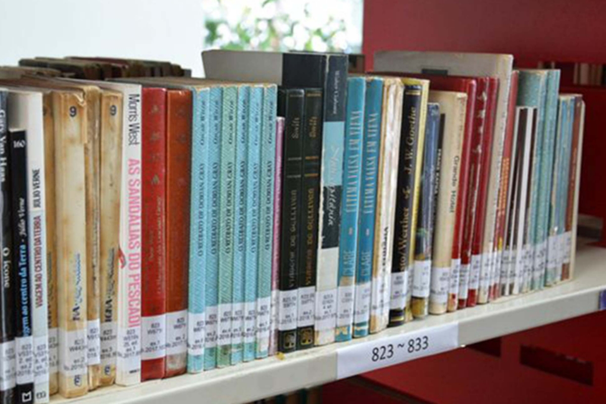 Catalogação de livros - Biblioteca Tia Léa
