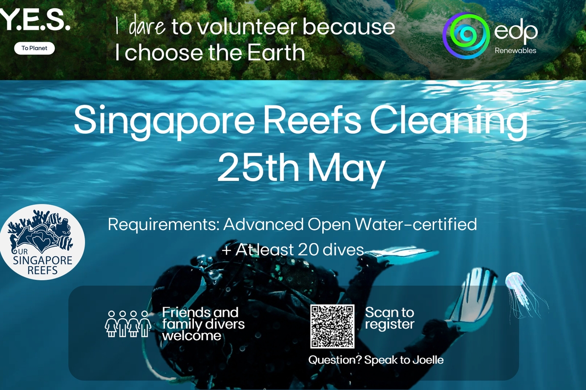 EDPR APAC - Singapore Reefs Cleaning