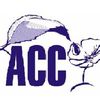 ACC - Associação de Combate ao Câncer