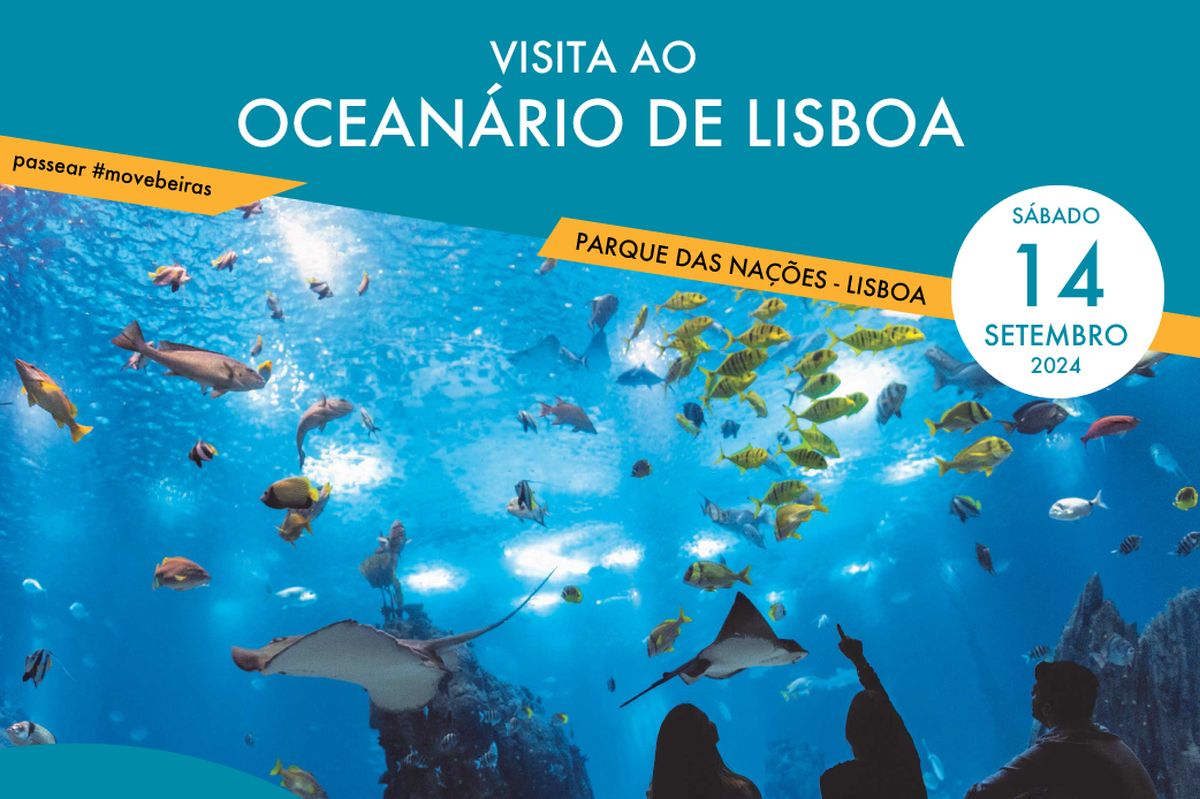 Viagem comboio ao Oceanário - Lisboa