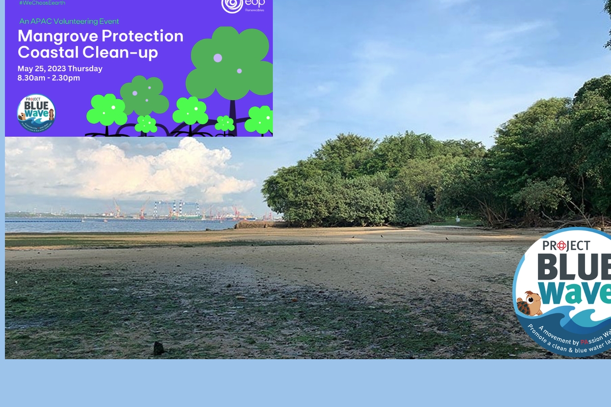 EDPR APAC Mangrove Protection Coastal Clean-up May 25, 2023