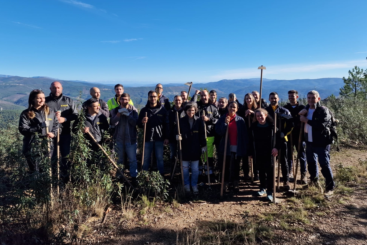 Voluntariado para valorização ecológica em Pampilhosa da Serra