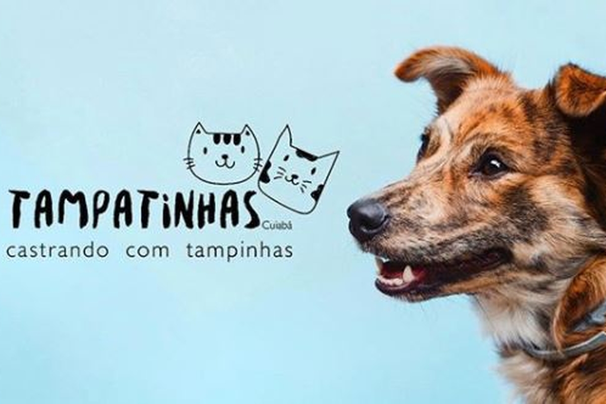 Arrecadação de tampinhas - Projeto Tampatinhas Cuiabá
