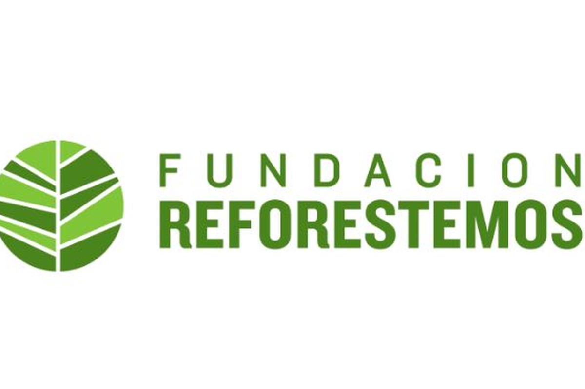 Voluntariado Medioambiental Chile 2023