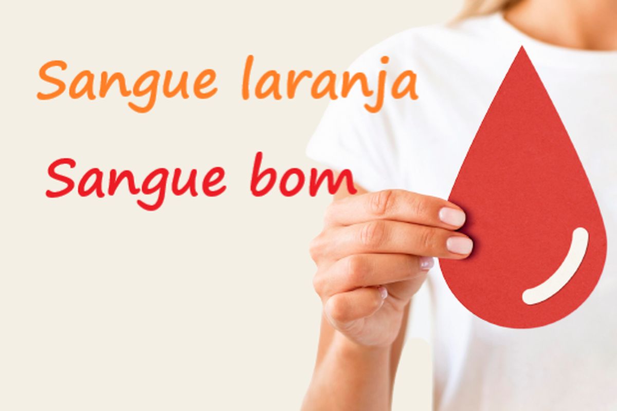 Doações de Sangue 2024