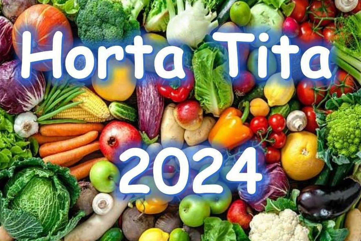 Horta Tita Brasília 2024