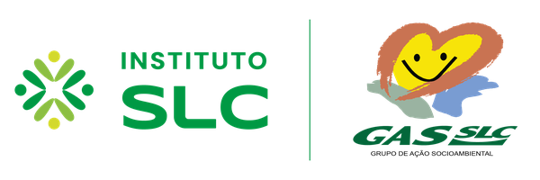 voluntariadogruposlc.v2v.net
