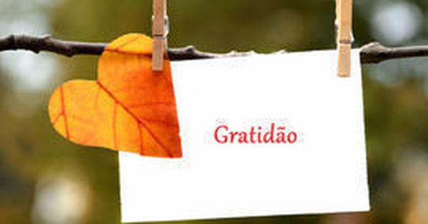 Dia da gratidão: confira como fazer duas ações inesquecíveis