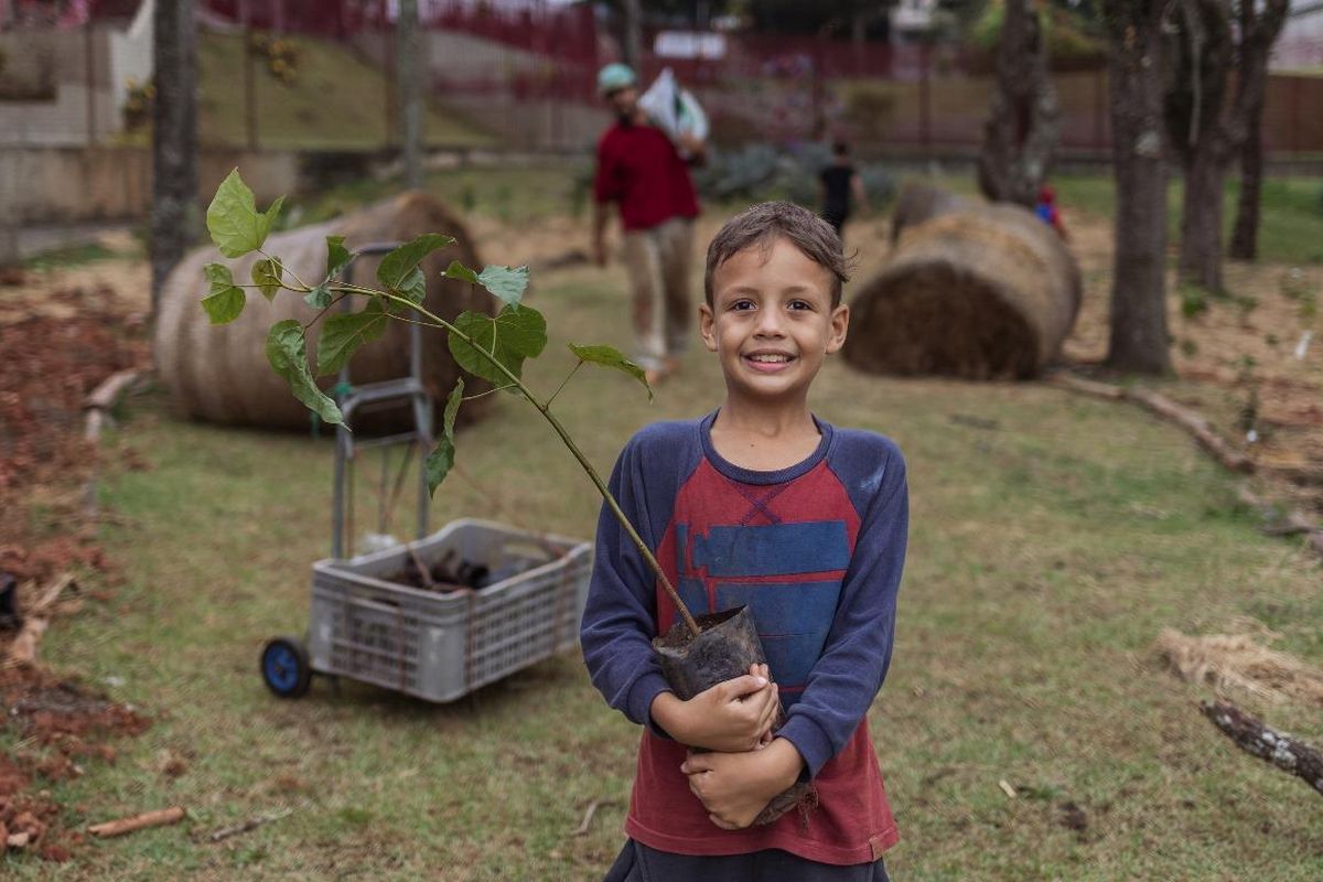 PLANTIO DE MINIFLORESTA DE MATA ATLANTICA - INSTITUTO CCR E FORMIGAS-DE- EMBAÚBA