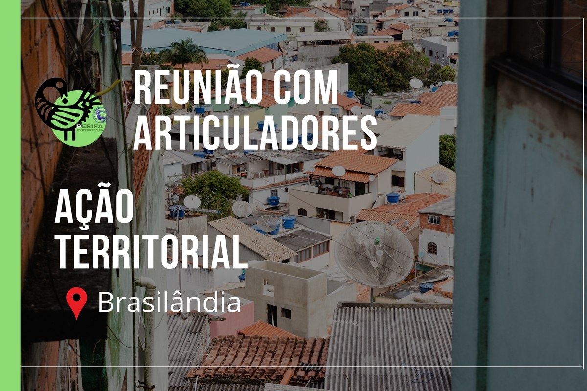 Reunião virtual: construção de Projeto de Sustentabilidade na Brasilândia