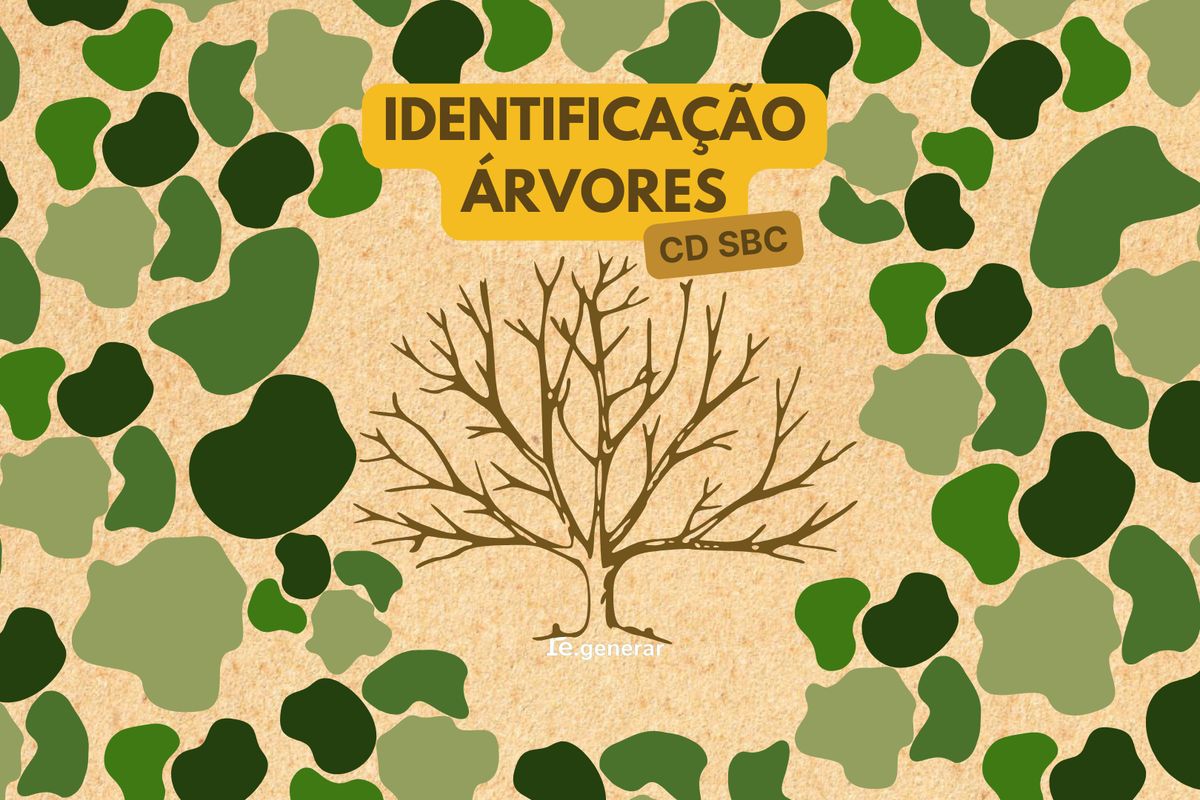 Identificação de Árvores