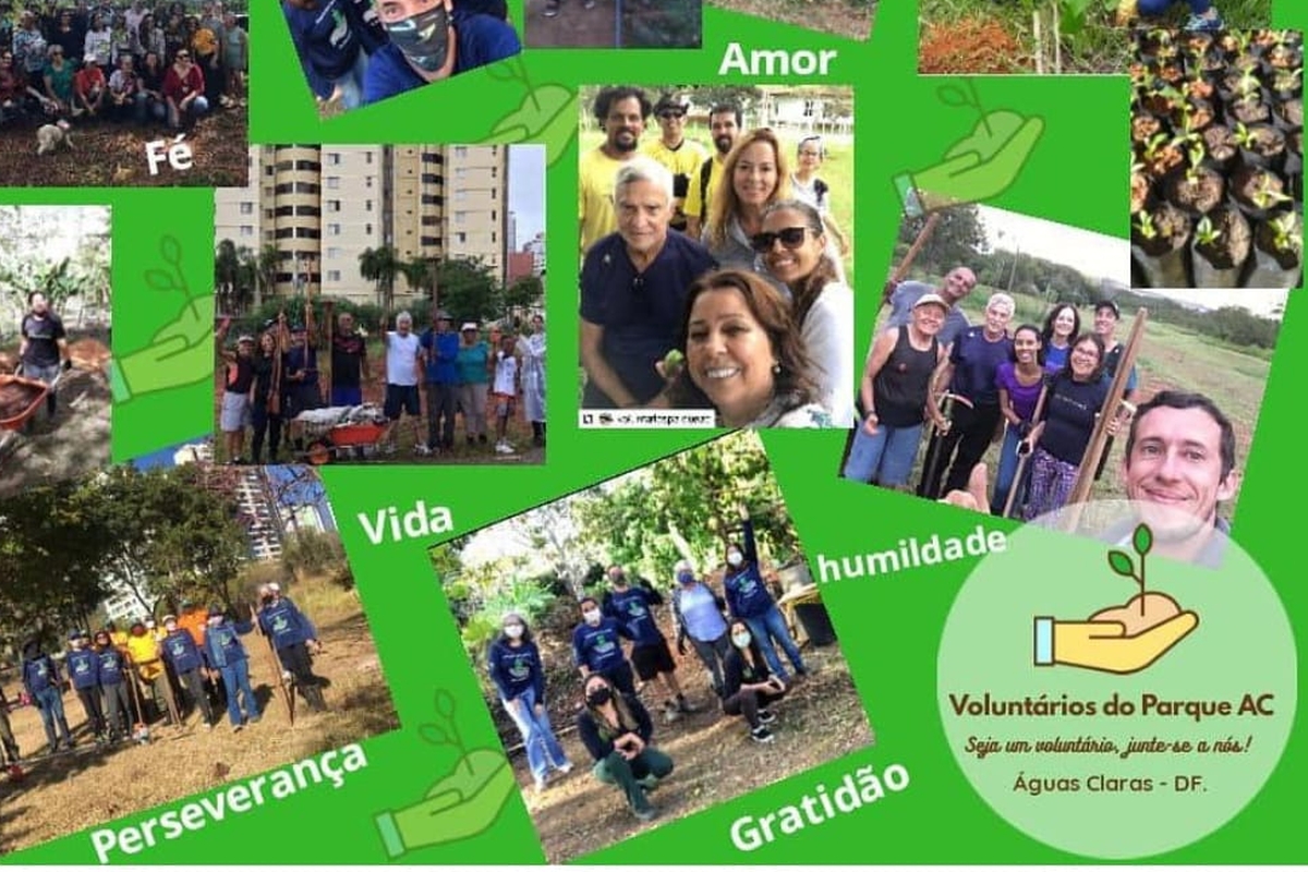 Instituto Voluntários do Parque de Aguas Claras
